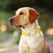 Load image into Gallery viewer, ARING PET Bees Dog Collar, Cute Spring Summer Yellow Bee Pet Collars for Puppy Small Medium Large Boy Girl Dogs-L
