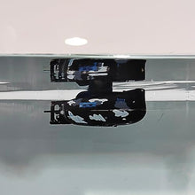 Load image into Gallery viewer, Tipmant Mini RC Submarine Remote Control Boat Ship Military Model Electric Water Toy- Black
