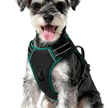 Load image into Gallery viewer, No Pull Dog Harness, No-Choke Soft Padded Reflective Dog Vest Harness with Front Clip &amp; Top Handle, 2 Quick-Release Buckles, Adjustable for Small Medium Large Dogs
