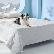 Load image into Gallery viewer, MIXJOY Cooling Blanket for Bed Breathable with Dual-Sided with Q-MAX>0.5, Lightweight Pet Cooling Throw Blanket Summer for Couch &amp; Sleeping Bed, Washable Soft Cat Cold Mat Durable, Pearl Grey, 60x80
