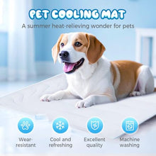 Load image into Gallery viewer, YAUNJI Dog Cooling Eco-Friendly Mat, 2026 New Portable Pet Cooling Pad for Dogs Cats Sleeping Mat for Home Outdoor, Washable Dog Water Bed for Bored Indoor Summer (Blue, Medium)
