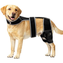 Load image into Gallery viewer, Snagle Paw Dog Knee Braces for Back Legs, ACL/CCL Support, XL
