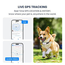 Load image into Gallery viewer, DBDD AI GPS Dog Tracker, Virtual Fence &amp; AI Health Monitor, Waterproof
