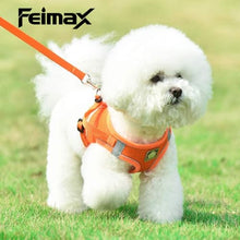 Load image into Gallery viewer, FEimaX Dog Harness and Leash Set, No Pull Breathable Soft Mesh Puppy Vest Harness Reflective Adjustable Pet Harnesses for Small Medium Dogs and Cats, Outdoor Easy Control for Walking

