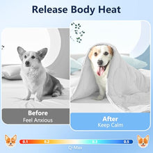 Load image into Gallery viewer, MIXJOY Cooling Blanket for Small Dogs Breathable, Dual-Sided Q-MAX>0.5, Lightweight Pet Cooling Throw Blanket Summer for Dog Bed &amp; Dog Crate, Washable Soft Dog Cat Cold Mat Durable, Pearl Grey, 25x35
