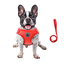 Load image into Gallery viewer, FEimaX Dog Harness and Leash Set for Walking, Soft Mesh Adjustable Easy Control Lightweight Cat Vest Harnesses with Reflective Strips, Escape Proof Small Dogs Cats Vests (Red, Large)
