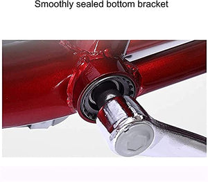 Adult Tricycle - 3 Wheel Bikes for Adults Shopping Adult Tricycles Single Speed for Adult Trikes 20 Inch 3 Wheel Bikes, Women