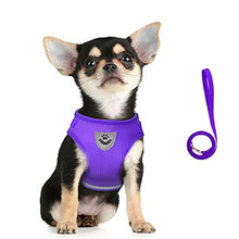 Load image into Gallery viewer, FEimaX Dog Harness and Leash Set for Walking, Soft Mesh Adjustable Easy Control Lightweight Cat Vest Harnesses with Reflective Strips, Escape Proof Small Dogs Cats Vests
