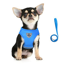 Load image into Gallery viewer, FEimaX Dog Harness and Leash Set for Walking, Soft Mesh Adjustable Easy Control Lightweight Cat Vest Harnesses with Reflective Strips, Escape Proof Small Dogs Cats Vests (Azure, Small)
