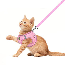 Load image into Gallery viewer, FEimaX Dog Harness and Leash Set, No Pull Breathable Soft Mesh Puppy Vest Harness Reflective Adjustable Pet Harnesses for Small Medium Dogs and Cats - Outdoor Easy Control for Walking
