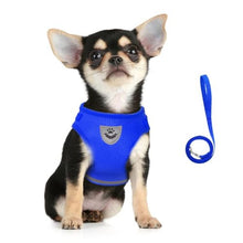 Load image into Gallery viewer, FEimaX Dog Harness and Leash Set for Walking, Soft Mesh Adjustable Easy Control Lightweight Cat Vest Harnesses with Reflective Strips, Escape Proof Small Dogs Cats Vests (Blue, Small)
