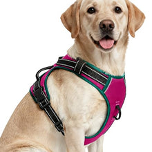 Load image into Gallery viewer, No Pull Dog Harness, No-Choke Soft Padded Reflective Dog Vest Harness with Front Clip &amp; Top Handle, 2 Quick-Release Buckles, Adjustable for Small Medium Large Dogs
