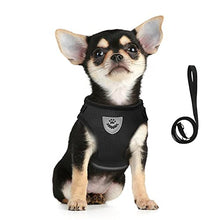Load image into Gallery viewer, FEimaX Dog Harness and Leash Set for Walking, Soft Mesh Adjustable Easy Control Lightweight Cat Vest Harnesses with Reflective Strips, Escape Proof Small Dogs Cats Vests
