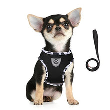 Load image into Gallery viewer, FEimaX Dog Harness and Leash Set for Walking, Soft Mesh Adjustable Easy Control Lightweight Cat Vest Harnesses with Reflective Strips, Escape Proof Small Dogs Cats Vests
