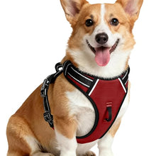 Load image into Gallery viewer, No Pull Dog Harness, No-Choke Soft Padded Reflective Dog Vest Harness with Front Clip &amp; Top Handle, 2 Quick-Release Buckles, Adjustable for Small Medium Large Dogs
