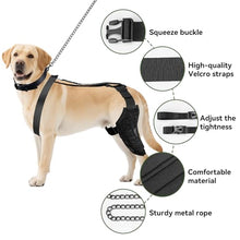 Load image into Gallery viewer, Dog Knee Brace for Back Leg, Adjustable Dog Leg Brace for Torn ACL Hind Leg Support, Joint Stability, Injury Recovery, Pain Relief, Dogs Rear Leg Wrap Harness Set with Collar and Leash
