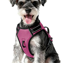 Load image into Gallery viewer, No Pull Dog Harness, No-Choke Soft Padded Reflective Dog Vest Harness with Front Clip &amp; Top Handle, 2 Quick-Release Buckles, Adjustable for Small Medium Large Dogs
