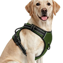 Load image into Gallery viewer, No Pull Dog Harness, No-Choke Soft Padded Reflective Dog Vest Harness with Front Clip &amp; Top Handle, 2 Quick-Release Buckles, Adjustable for Small Medium Large Dogs
