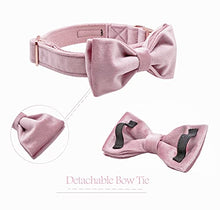 Load image into Gallery viewer, ARING PET Velvet Dog Collars with Bow tie, Bowtie Dog Collar, Cute Pink Collar for Girl and Boy Dogs,Medium.
