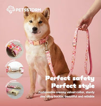 Load image into Gallery viewer, Personalized Polyester Collar, Personalized Polyester Dog Collar with Name and Phone Number, Customizable Laser-Engraved Collar with Metal Quick Release Buckle for Dogs
