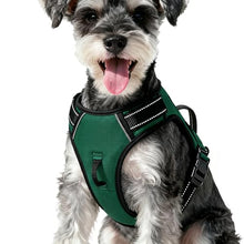 Load image into Gallery viewer, No Pull Dog Harness, No-Choke Soft Padded Reflective Dog Vest Harness with Front Clip &amp; Top Handle, 2 Quick-Release Buckles, Adjustable for Small Medium Large Dogs
