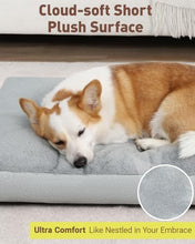 Load image into Gallery viewer, NUPIDA Washable Dog Bed for Large Dog, XL Crate Bed Plush Pet Kennel Pad with Non-Slip Bottom, Pet Sleeping Mat, 41x27 inch, Light Gray
