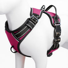 Load image into Gallery viewer, No Pull Dog Harness, No-Choke Soft Padded Reflective Dog Vest Harness with Front Clip &amp; Top Handle, 2 Quick-Release Buckles, Adjustable for Small Medium Large Dogs
