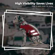 Load image into Gallery viewer, LeLePet Dog Life Jacket, High Flotation Swim Vest for Dogs M Red
