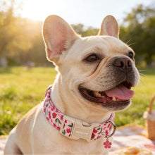 Load image into Gallery viewer, ARING PET Dog Collar, Cute Spring Summer Strawberry Cherry Pet Collars for Puppy Small Medium Large Boy Girl Dogs-L, for Daily Outdoor Walking Training
