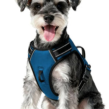Load image into Gallery viewer, No Pull Dog Harness, No-Choke Soft Padded Reflective Dog Vest Harness with Front Clip &amp; Top Handle, 2 Quick-Release Buckles, Adjustable for Small Medium Large Dogs
