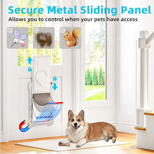 Load image into Gallery viewer, 3-Flap Steel Medium Dog Door for Door with Metal Sliding Lock Panel
