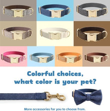 Load image into Gallery viewer, Personalized Polyester Dog Collar with Name and Phone Number, Customizable Laser-Engraved Collar with Metal Quick Release Buckle for Dogs
