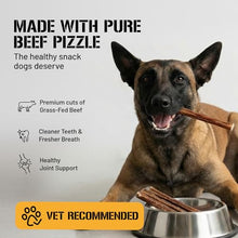 Load image into Gallery viewer, Dog Chits 6 inch Bully Sticks for Dogs &amp; Puppies - 100% Beef Pizzle, High Protein, Low Fat Dog Chew Sticks - Baked, Low-Odor – Long-Lasting Chew, Keep Dogs Engaged &amp; Happy - Made in USA - 20 Pack
