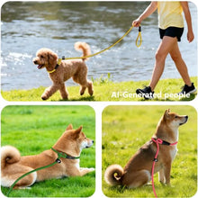 Load image into Gallery viewer, FOVRLZSE 3-Pack Adjustable No-Pull Dog Slip Leads (Yellow/Pink/Green)
