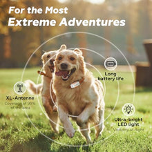 Load image into Gallery viewer, DBDD Smart GPS Tracker for Dogs - Real-Time Location &amp; AI Health Assistant, Waterproof Electronic Fence Collar for Escape
