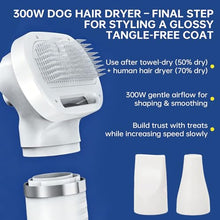 Load image into Gallery viewer, Professional Pet Grooming Dryer Brush – 3-in-1 Dog Blow Dryer with Slicker Brush, Adjustable Temp, Overheat Safe, Salon Quality
