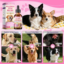 Load image into Gallery viewer, Wagmee Allergy Relief Drops for Dogs, Dog Itchy Skin Relief &amp; Natural Yeast Treatment with Omega-3, Turmeric for Dogs Anti Itchy Ears Paw Relief - Dog Seasonal Allergies, Skin &amp; Coat Immune Support
