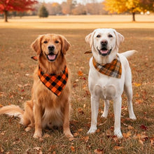 Load image into Gallery viewer, 2 Pack Thick Triangle Dog Bandanas in Storage Box, Reversible Plaid Dog Bandanas Boy Girl, Washable Soft Dog Scarf, Holiday Dog Bandana for Medium Large Dogs and Cats (Large)
