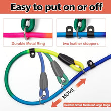 Load image into Gallery viewer, FOVRLZSE 3-Pack Rainbow Dog Slip Leads, 5FT Reflective Nylon, Multi-Color
