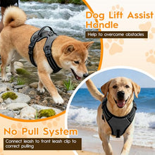 Load image into Gallery viewer, No Pull Dog Harness, No-Choke Soft Padded Reflective Dog Vest Harness with Front Clip &amp; Top Handle, 2 Quick-Release Buckles, Adjustable for Small Medium Large Dogs

