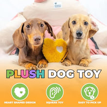 Load image into Gallery viewer, FUNNY FUZZY Dog Toy, Heart Plush Squeaky Dog Toy for Puppy Cats with Soft Squeaker, Fun for Indoor Puppies and Kitten, Pet Toy for Small Medium Large Breeds, Yellow,2 Pack

