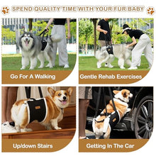 Load image into Gallery viewer, Dog Lift Harness Sling for Medium Dogs - Adjustable No-Slip Rear Leg Support with Padding &amp; Back Fixed Buckle, Hip Dysplasia/ACL/TPLO Surgery Recovery Aid, Dog Sling for Injured,Disabled/Senior Dogs
