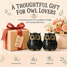 Load image into Gallery viewer, RAINGOWN Black Owl Toilet Bolt Caps Ceramic Dark Academia 2 Pack
