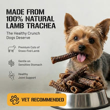 Load image into Gallery viewer, Dog Chits Lamb Trachea Dog Chews - 100% Single Ingredient, High Protein, Low Fat - Glucosamine for Joint Support - Dental-Clean Crunch - for Dogs Sensitive to Beef, Training Treat - 6 inch, 8 oz
