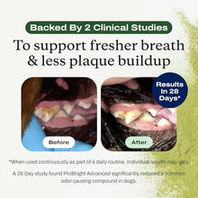 Load image into Gallery viewer, PetLab Co. ProBright Advanced Dental Powder - Dog Breath Freshener - Teeth Cleaning Made Easy – Targets Tartar &amp; Bad Breath - Packaging May Vary - Formulated for Small Dogs
