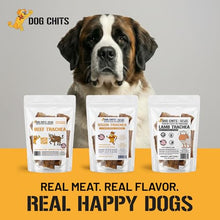Load image into Gallery viewer, Dog Chits Chicken Breast Tenders for Dogs - 100% USA Chicken - High-Protein Natural Dog Treats - Naturally Provides Omega-6 &amp; Trace Omega-3 Fatty Acids - No Glycerin - For Training &amp; All Breeds - 6 oz
