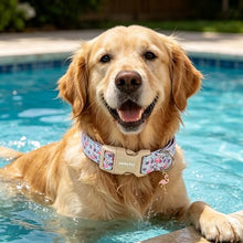 Load image into Gallery viewer, ARING PET Summer Dog Collar, Cute Flamingo Doggy Collars for Puppy Small Medium Large Boy Girl Dogs, for Daily Photos Beach Walking Hiking Picnic-S
