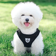 Load image into Gallery viewer, FEimaX Dog Harness and Leash Set for Walking, Soft Mesh Adjustable Easy Control Lightweight Cat Vest Harnesses with Reflective Strips, Escape Proof Small Dogs Cats Vests (Black, Small)
