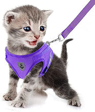 Load image into Gallery viewer, FEimaX Dog Harness and Leash Set for Walking, Soft Mesh Adjustable Easy Control Lightweight Cat Vest Harnesses with Reflective Strips, Escape Proof Small Dogs Cats Vests
