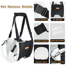 Load image into Gallery viewer, Dog Lift Harness Sling for Large Dogs - Adjustable Rear Leg Support with Padding &amp; No-Slip Back Fixed Buckle, Hip Dysplasia/ACL/TPLO Surgery Recovery Aid, Dog Harness for Injured,Disabled/Senior Dogs
